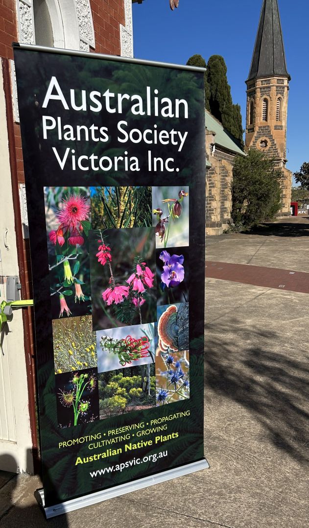 Australian Plants Society Victoria: Bacchus Marsh May 2025 sale