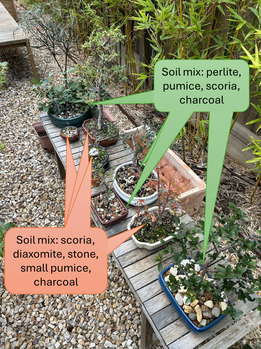 Soil mix learnings: Perlite extends the growing season.